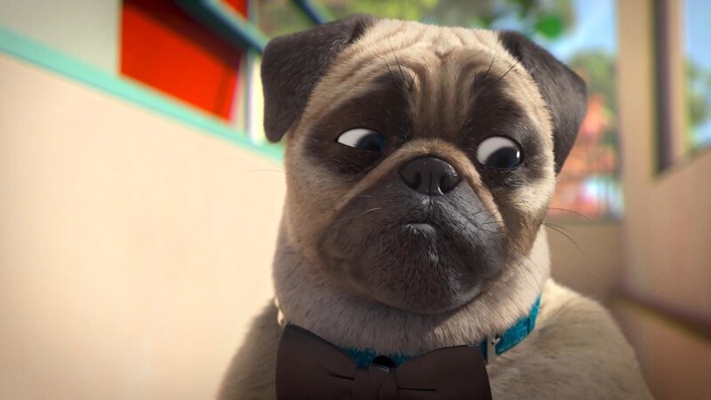 Bild: PLURIMEDIA (TeamTo)