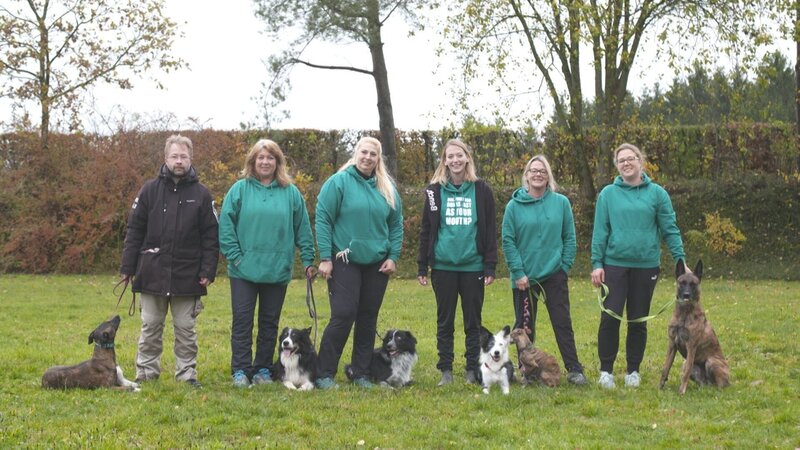 Deutsche Meister im Flyball – die oberfränkischen Flyball Junkies. – Bild: BR/​south & browse GmbH
