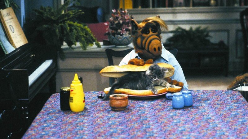 Alf und Lucky – Bild: TVNOW