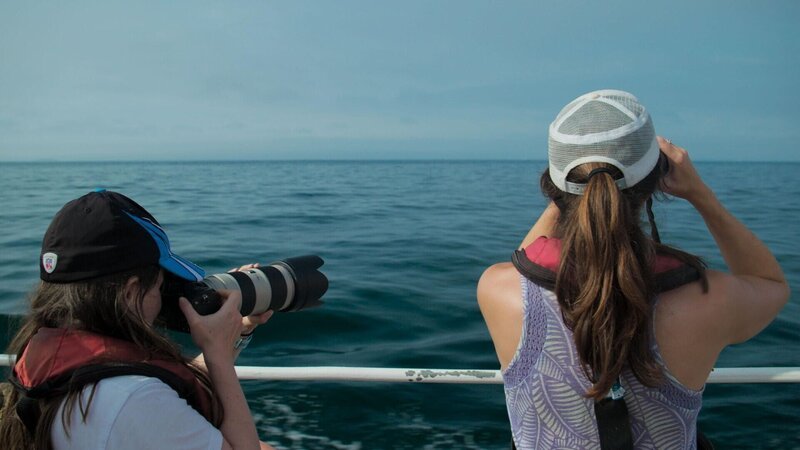 Dreharbeiten auf hoher See stellen das Team vor Hürden – Bild: RTL /​ One Tribe TV /​ Köder