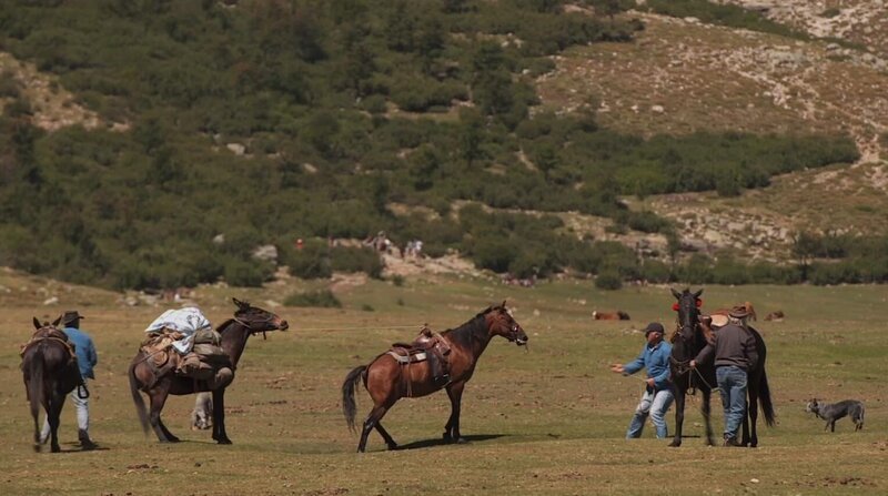 Corse, extrait – Bild: What’s Up Films