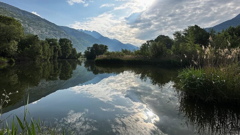 Rendez-vous im Park Staffel 2 Folge 3 Naturpark Pfyn-Finges Das Leukerfeld im Naturpark Pfyn-Finges ist schweizweit einer der besten Orte, um seltene Vogelarten zu beobachten. 2023 Copyright: SRF – Bild: SRF