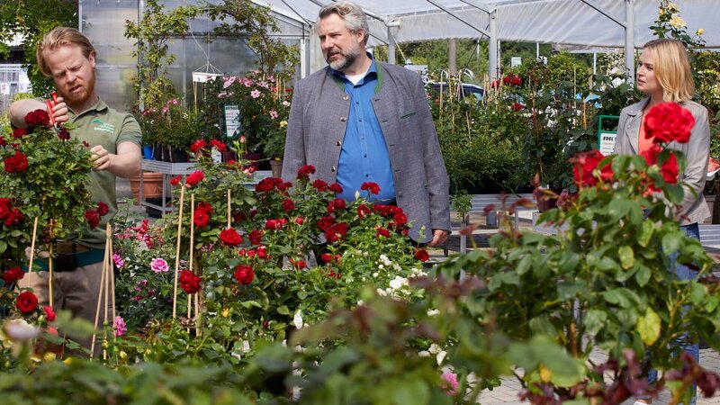 Peter Herbig (Martin Wißner, l.), der Neffe des Verstorbenen, arbeitet, wie sein verstorbener Onkel, in der Gärtnerei Benkelmann. Können die Kommissare Stadler (Dieter Fischer, M.) und Winter (Vanessa Eckart, r.) aus dem Kreis der Verdächtigen ausschließen? – Bild: ZDF