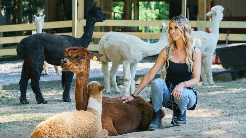 As seen on HGTV’s Christina in the Country, Christina Haack poses for a portrait. – Bild: Warner Bros. Discovery