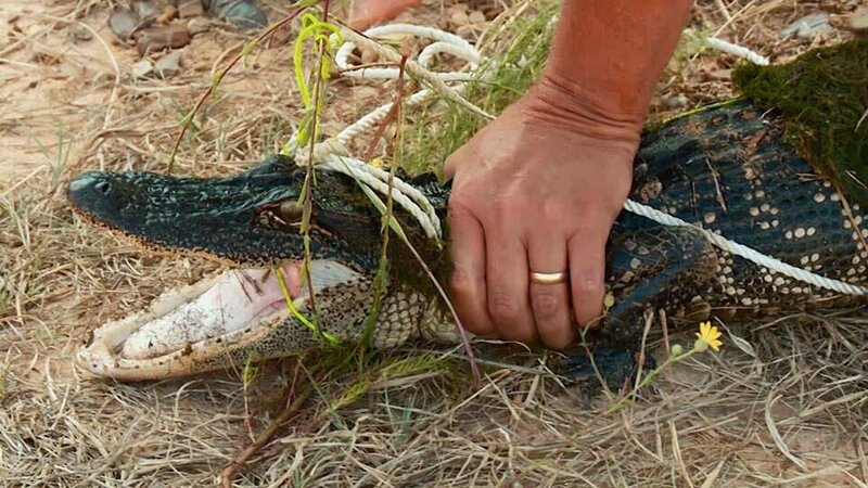 . – Bild: Warner Bros. Discovery