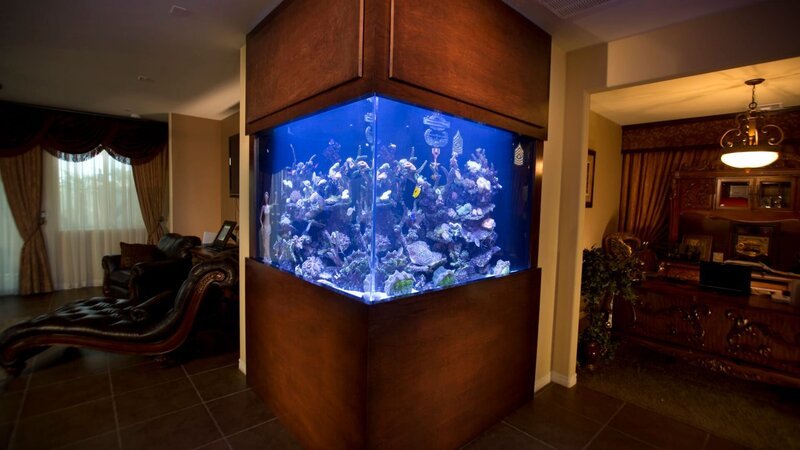 The finished Law & Military tank. – Bild: Animal Planet /​ 32129_ep315_005 – Photobank. /​ Discovery Communications