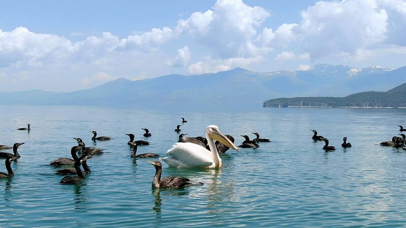 Bild: Torben Müller/​Vincent Productions