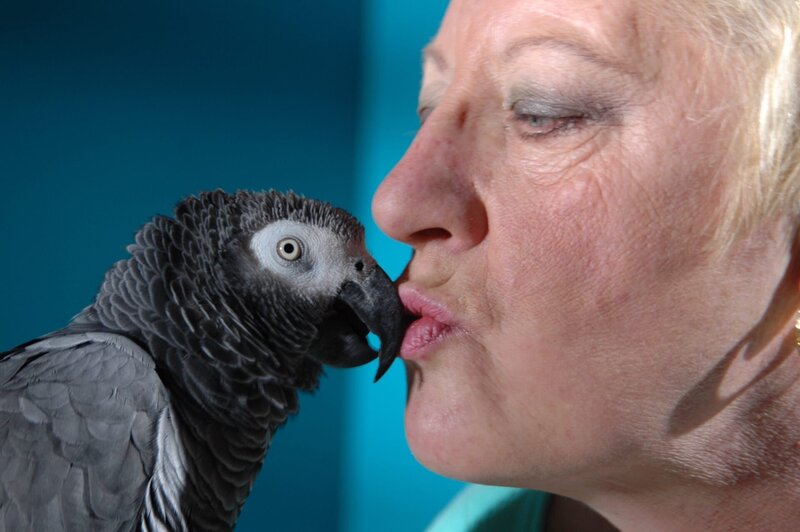 Bild: Discovery Communications, Inc.