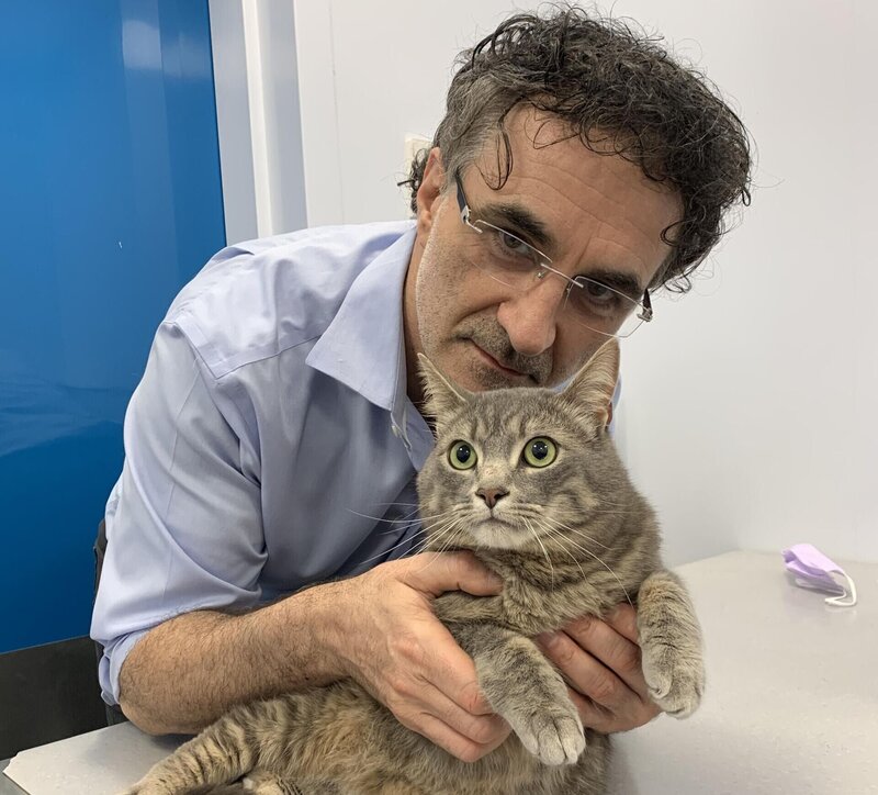 Noel Fitzpatrick – Bild: Blast! Films MMXXII