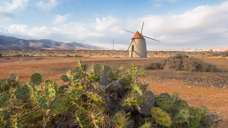 Früher lebten die Bewohner von Fuerteventura vom Ertrag ihrer Mühlen. Bis heute prägen sie die Landschaft. – Bild: Honorarfrei – nur für diese Sendung bei Nennung ZDF und Patricia Brouard.