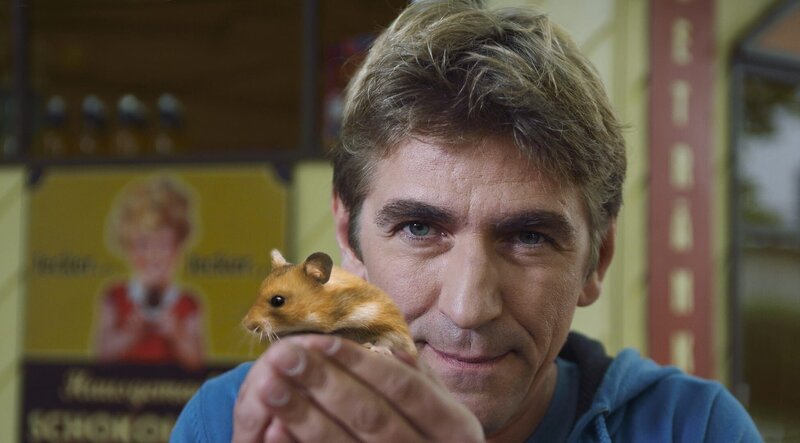 „Fritz Fuchs (Guido Hammesfahr) hilft einem Goldhamster auf der Suche nach einem Zuhause. – Bild: ZDF/​Antje Dittmann