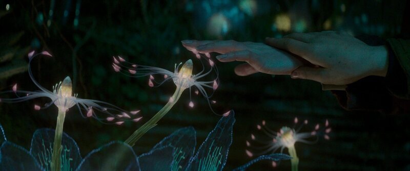  – Bild: Condor Films