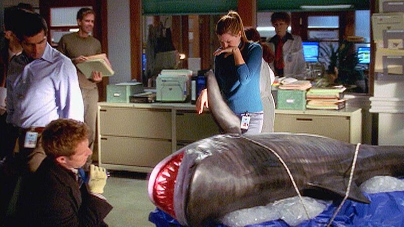 Bug (Ravi Kapoor, l.) bekommt einen außergewöhnlichen Fall: Im Maul eines riesigen Hais wurde ein menschlicher Arm gefunden. Von wem stammt er? – Bild: RTL /​ NBC Universal.