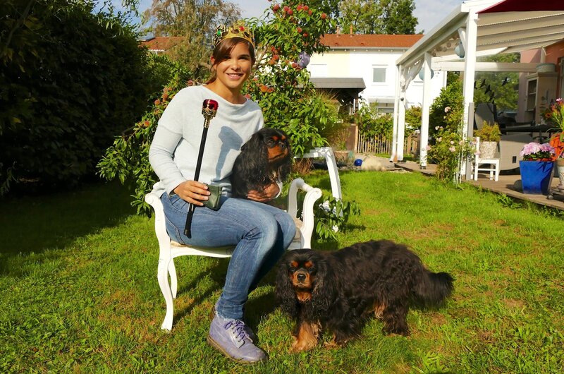 Die Vorfahren der Cavalier King Charles Spaniels waren Begleithunde des britischen Hochadels. – Bild: BR/​BILD + TEXT Medienproduktion GmbH & Co. KG.