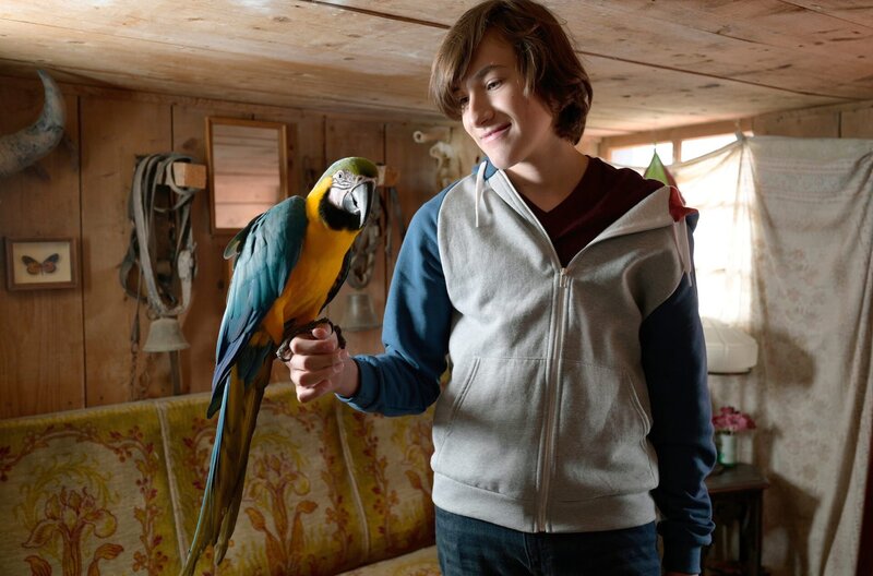 Jan (Guiliano Marieni) und Papagei Bingo. – Bild: SWR/​Maria Wiesler