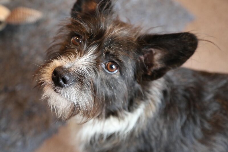 Bild: Blast! Films Ltd.