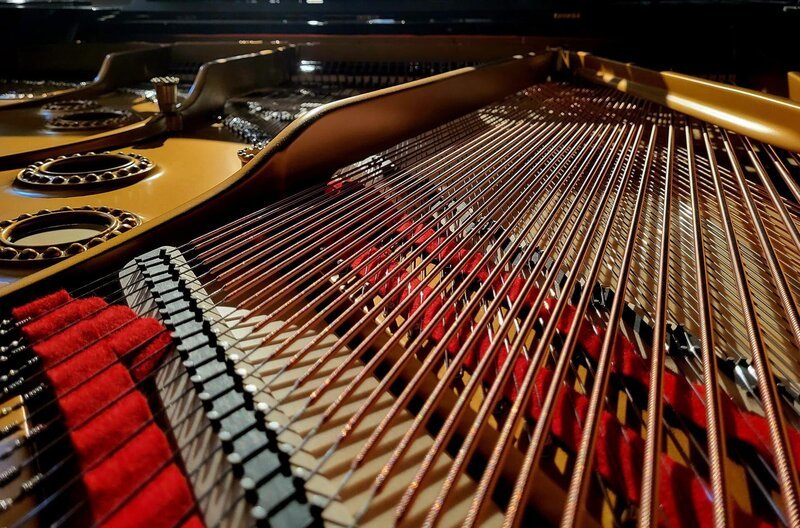 Steinway A-Flügel Baujahr 1921, nach der Restaurierung: Bass-Saiten – Bild: SWR