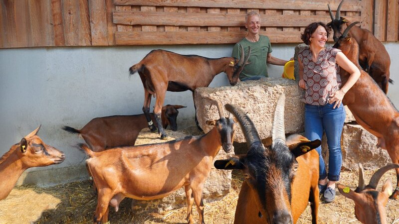 Auf dem Berghof von Monika und Wolfgang Schudt im bayerischen Spessart wird viel gemeckert. Denn hier dreht sich fast alles um Ziegen. Die Milch von 200 Muttertieren verarbeiten die Beiden hier zu besonderen Käse-Kreationen. – Bild: BR, isarflimmern fernsehproduktion GmbH, cutflow GmbH