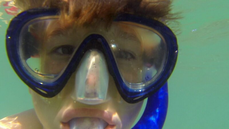 Patrick schnorchelt im Meer und entdeckt dabei ganz viele Fische. – Bild: WDR/​Die Sendung mit dem Elefanten