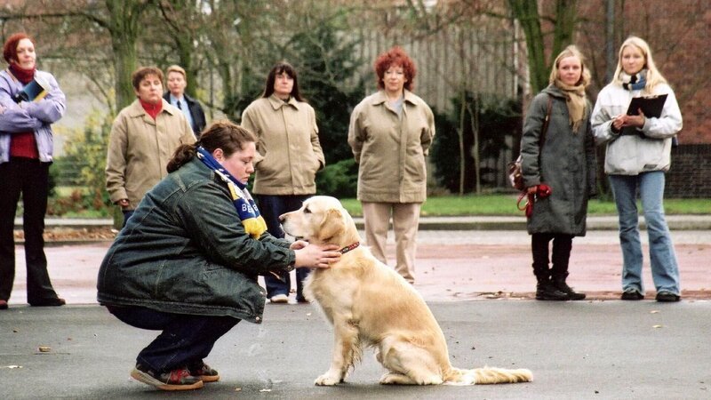Nancy (Livia S. Reinhard, vo.) absolviert mit Hund Roxy einen Test, um im Rahmen einer Blindenhundausbildung mit ihm zusammen bleiben zu dürfen. – Bild: TVNOW /​ Richard Hübner