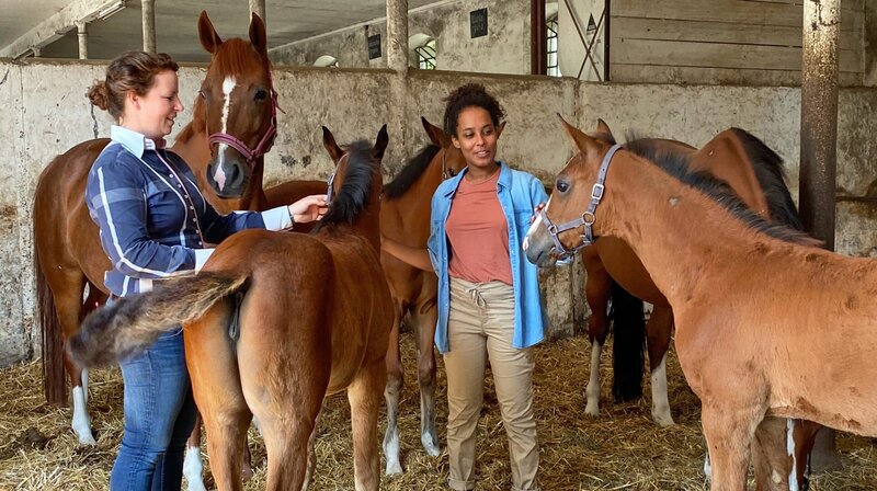 Landstallmeisterin Conny stellt Pia ein paar Zuchtstuten und ihre Fohlen vor. Weiteres Bildmaterial finden Sie unter www.br-foto.de. – Bild: BR/​Text und Bild Medienproduktion GmbH & Co. KG/​Katharina Brackmann