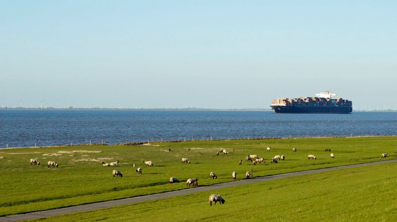 Die etwa 18 Kilometer breite Elbmündung ist Schifffahrtsstraße und Naturparadies zugleich: Die sogenannten „Elbmarschen“ prägen sowohl auf niedersächsischer wie auf schleswig-holsteinischer Seite die Landschaft. – Bild: NDR/​nonfictionplanet/​Ralf Biehler