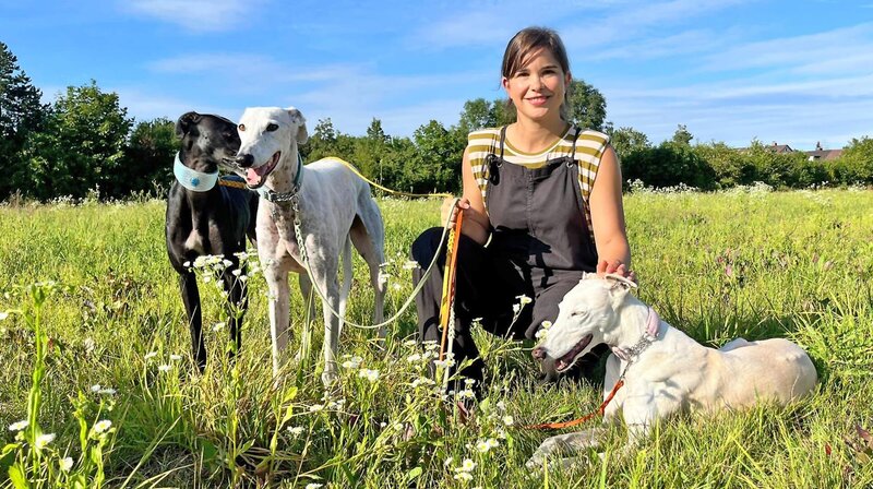 Da Galgos Jagdhunde sind, sollte man sie in Gegenden, wo es Wildtiere gibt, an der Leine lassen. Weiteres Bildmaterial finden Sie unter www.br-foto.de. – Bild: BR/​Text und Bild Medienproduktion GmbH & Co. KG/​Katharina Brackmann
