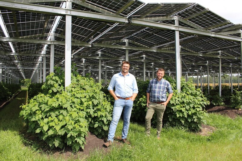 Die Landwirte Fabian Karthaus und Josef Kneer schützen ihre Heidelbeer- und Himbeersträucher durch ihre innovative Dachkonstruktion aus Photovoltaik-Modulen und produzieren dabei auch noch Strom. – Bild: ZDF