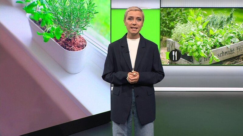 Bild: RTL