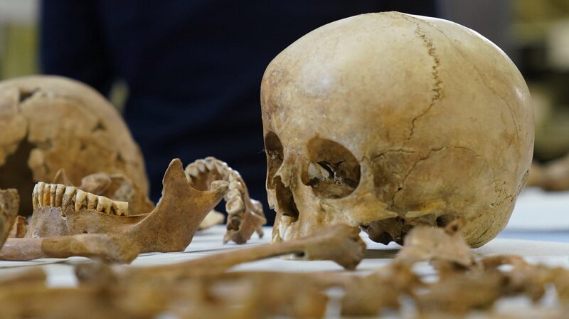 Die Schädel und Knochen von Frauen und Kindern aus den Schachtgruben in Pömmelte zeigen Spuren von stumpfer Gewalt. Für Archäologen durchaus eine mögliche Theorie. – Bild: phoenix/​ZDF/​Peter Trinks