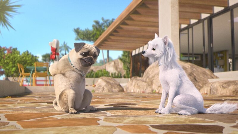 Bild: PLURIMEDIA (TeamTo)