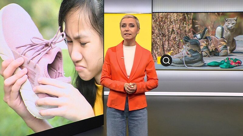 Bild: RTL