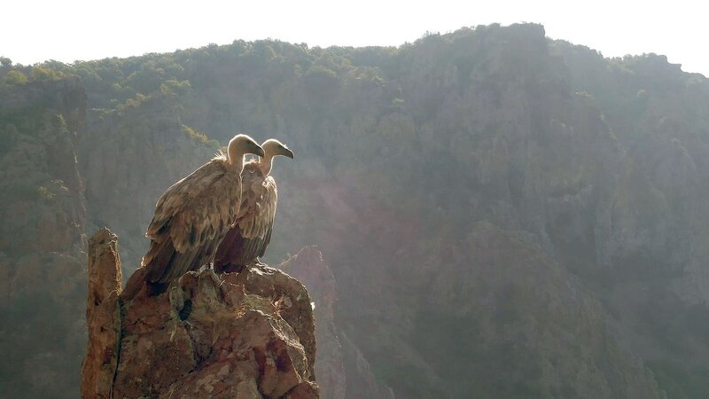 Bild: Torben Müller/​Vincent Productions