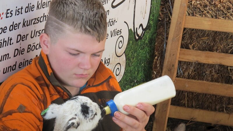 Hannes versorgt ein Lamm mit der Milchflasche. – Bild: KiKA/​Stefanie Köhne