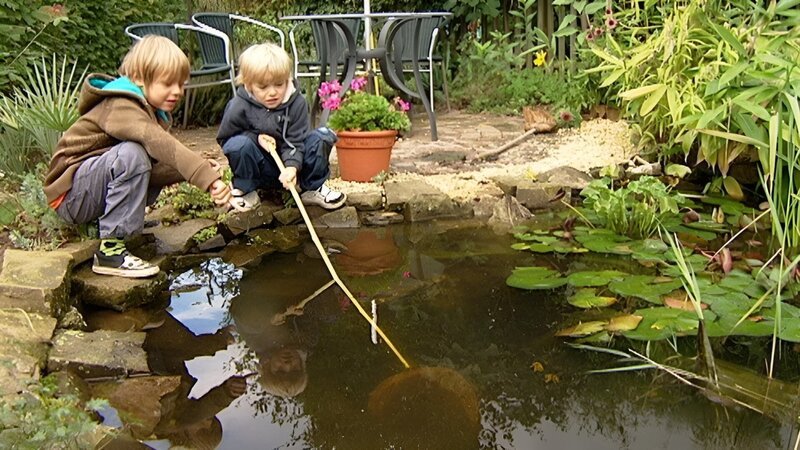 Bennet und Levin fischen mit einem Käscher im Gartenteich nach Wasserläufern und Fröschen. – Bild: WDR/​Die Sendung mit dem Elefanten