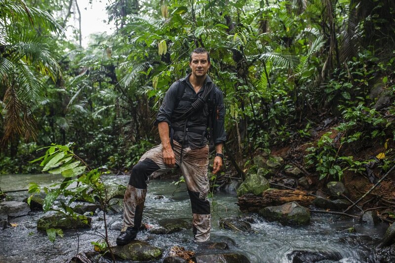 Bild: 2019 NGC Network US, LLC. All rights reserved.) Lizenzbild frei