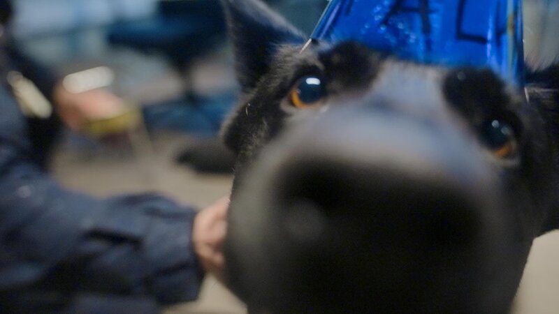 Bild: Amazon Web Services, Inc. or its affiliates.