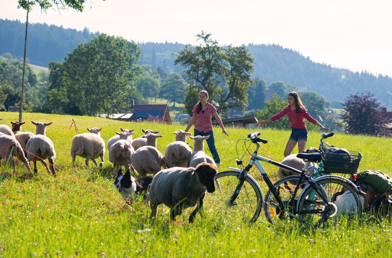 Paulina (Tabea Hug) und Leo (Phillis Lara Lau) büchsen die Schafe aus. – Bild: SWR/​Maria Wiesler
