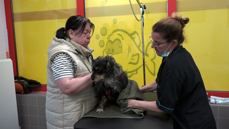 Pamela mit ihrer Hündin Tutschi im Hundesalon – Bild: RTLZWEI