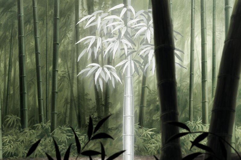 Bild: YUKI URUSHIBARA/​KODANSHA · MUSHI-SHI PARTNERSHIP © 2024 POLYBAND MEDIEN GMBH. ALL RIGHTS RESERVED. Lizenzbild frei