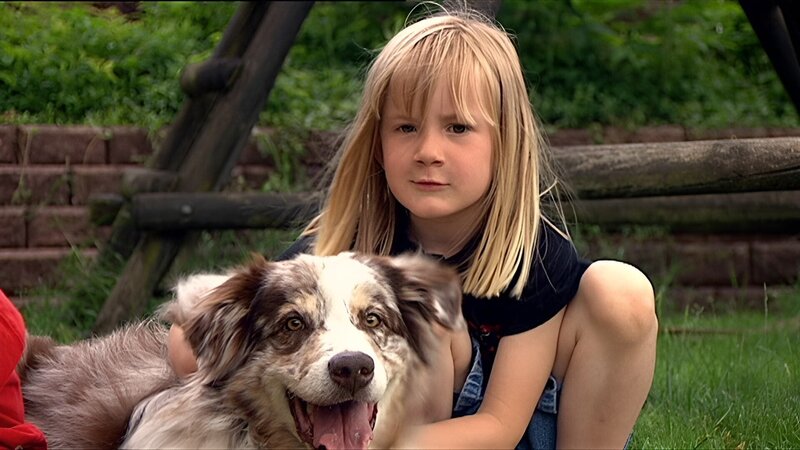 In der „Sendung mit dem Elefanten“ geht es um Hunde. – Bild: WDR/​Die Sendung mit dem Elefanten