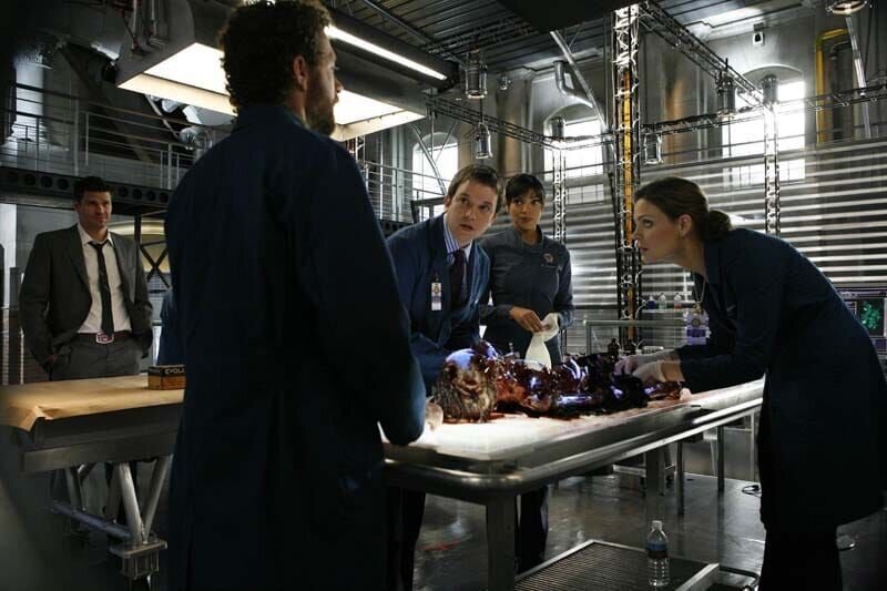 (v.l.n.r.) Booth (David Boreanaz); Dr. Hodgins (T.J. Thyne); Dr. Addy (Eric Millegan); Camille Saroyan (Tamara Taylor); Dr. Brennan (Emily Deschanel) – Bild: Source: 1,