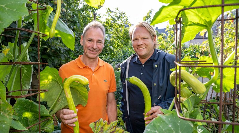 Björn Freitag (r) mit Herbert Budweg in seinem Hausgarten. Für das Menü nimmt Björn eine besondere Schlangenzucchini mit. – Bild: WDR/​Melanie Grande