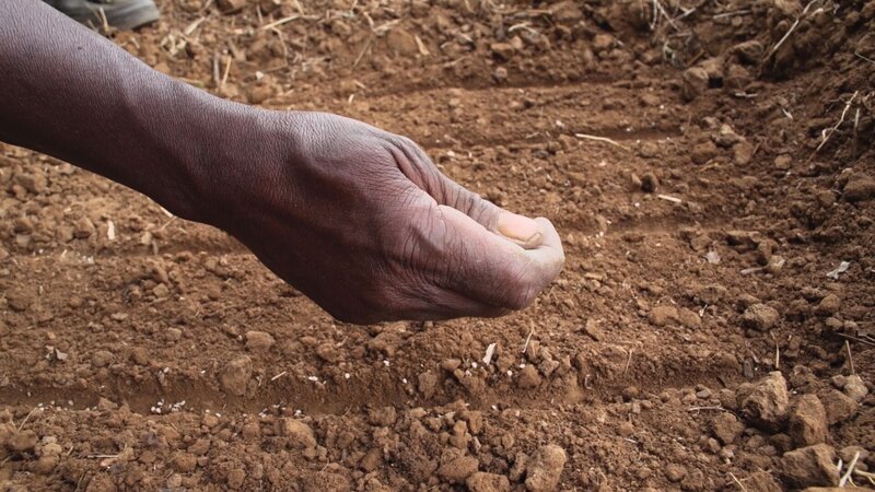 Überquerte Schicksale – Bild: Arte