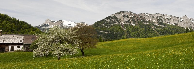 Im geographischen Mittelpunkt Österreichs liegt eine der malerischsten und eigenwilligsten Regionen Europas: das Ausseerland, eine Landschaft, die aus Eis und Fels geboren und durch die wilden Kräfte der Natur pittoresk geformt wurde. – Bild: BR/​Richard Mayr