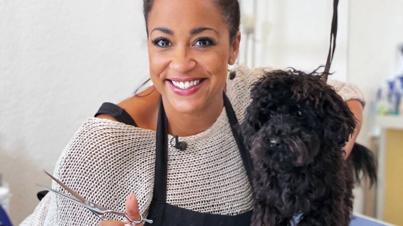 Fabienne Louves baut sich ein zweites Standbein als Hundecoiffeuse auf. – Bild: SRF