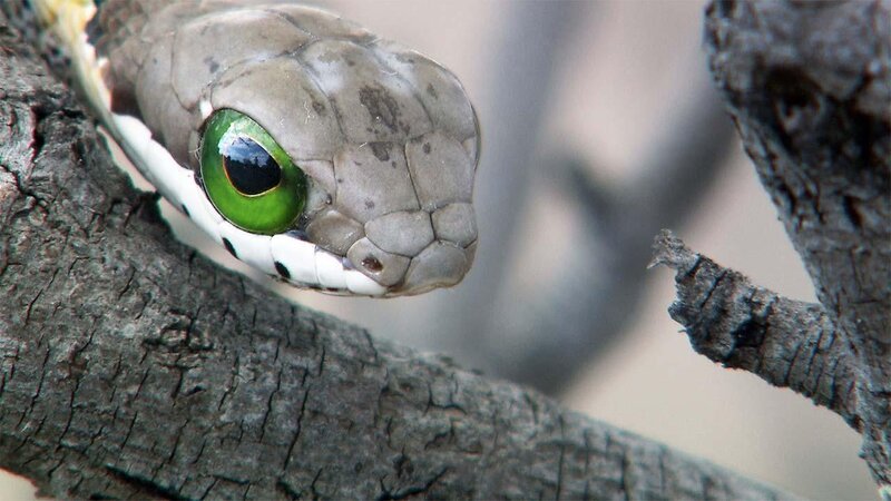 . – Bild: ANIXE HD