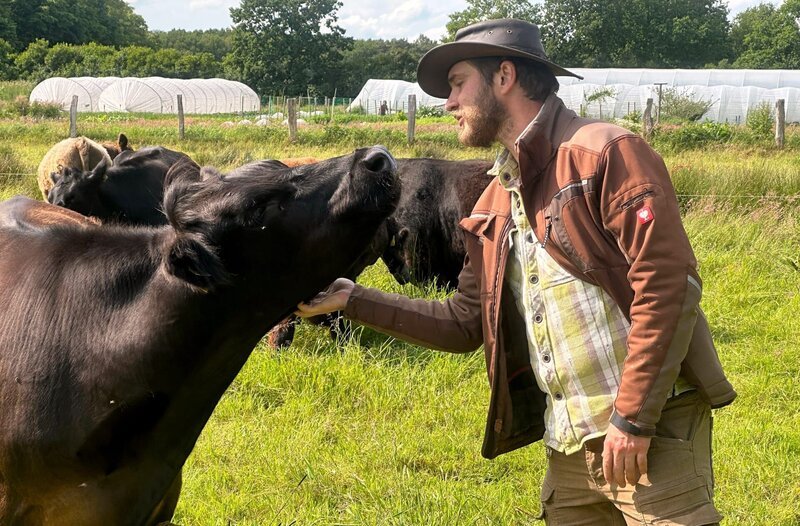 Die Rinderherde ist ein wichtiger Bestandteil ihrer regenerativen Landwirtschaft. „Ökologische Mitarbeiter“, nennt Hannes Höhne die Rinder. Sie liefern nicht nur Fleisch, sondern auch den organischen Dünger für die Viehweiden und den Gemüseanbau. Im Sommer treibt Hannes die Herde mehrmals am Tag auf ein neues Stück Weide. – Bild: NDR /​ NDR Presse und Information