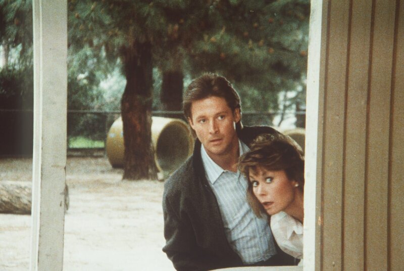 Lee (Bruce Boxleitner, l.) und Amanda (Kate Jackson, r.) verfolgen den Terroristen Steven Sallee, der eigentlich tot sein sollte … – Bild: CBS Television