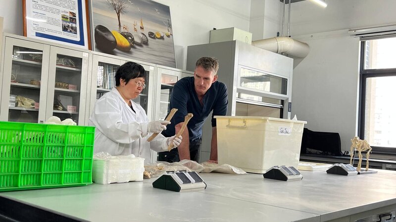 Bild: THE HISTORY CHANNEL /​ History Hit